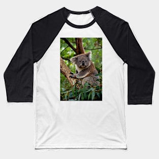 Koala - Is This A Cute Look? Baseball T-Shirt